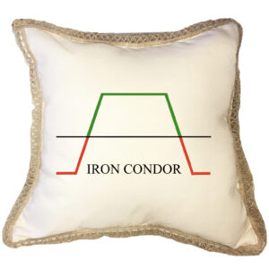 Iron Condor Poly Canvas Burlap Trim Pillow (18″ x 18″)
