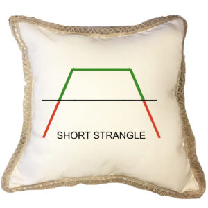 Short Strangle Poly Canvas Burlap Trim Pillow (18″ x 18″)
