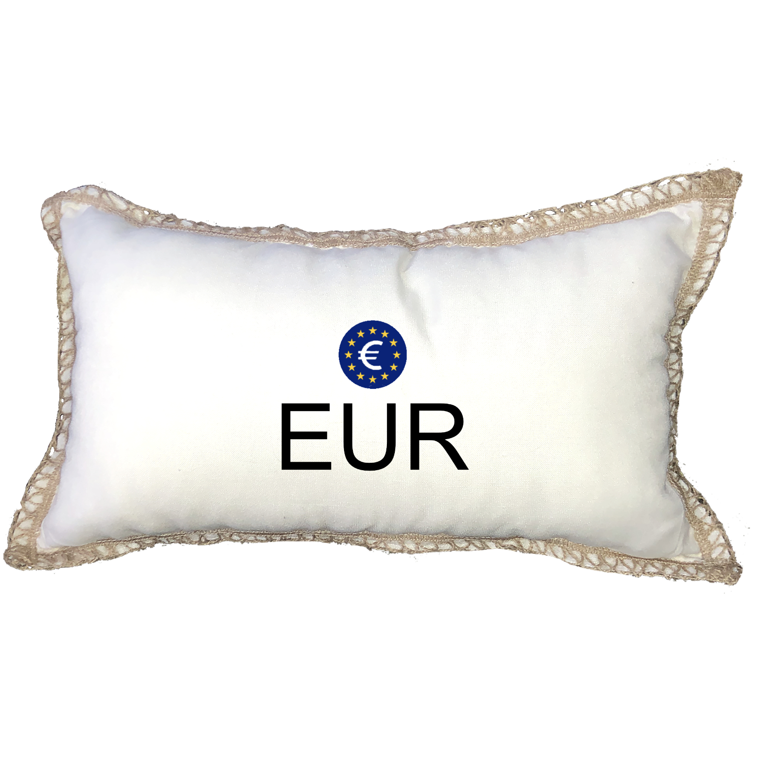 EUR Euro PIllow