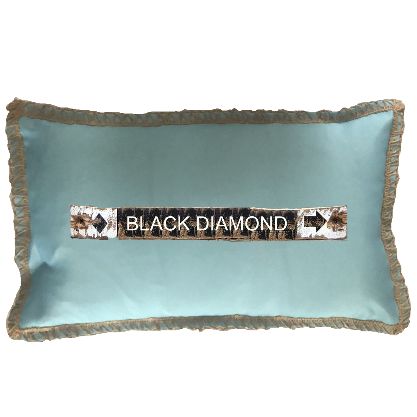 Black Diamond Ski Pillow